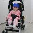 New Jeep Stroller