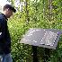 The Sacred Grove1.jpg