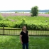 Joseph, Emma & Hyram's gravesite4