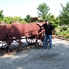 Old Nauvoo Gunsmith shop outside2