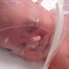 Baby_Sarah_007
