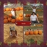 008 page_8 (1)-2