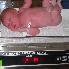 032 8lbs 4oz