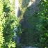 Honeymoon... Multnomah Falls1